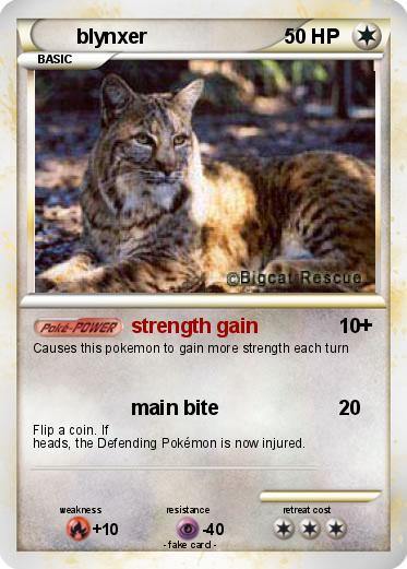 Pokemon blynxer