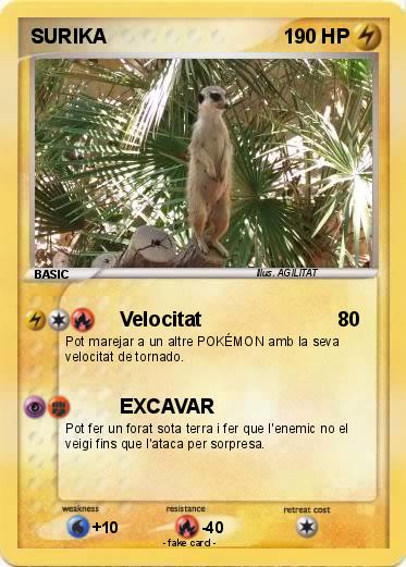 Pokemon SURIKA