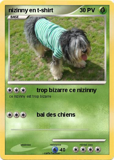 Pokemon nizinny en t-shirt