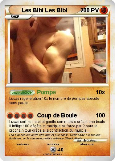 Pokemon Les Bibi Les Bibi