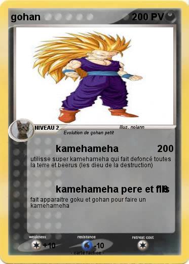 Pokemon gohan