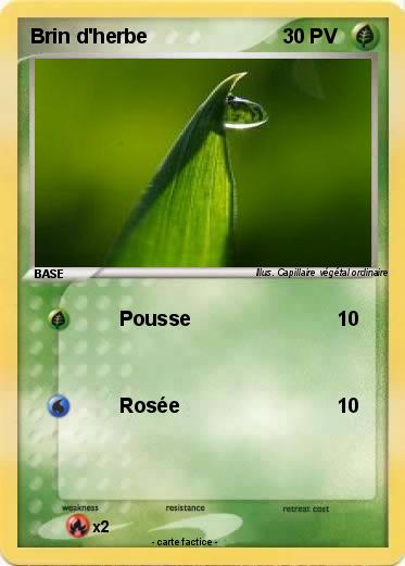 Pokemon Brin d'herbe