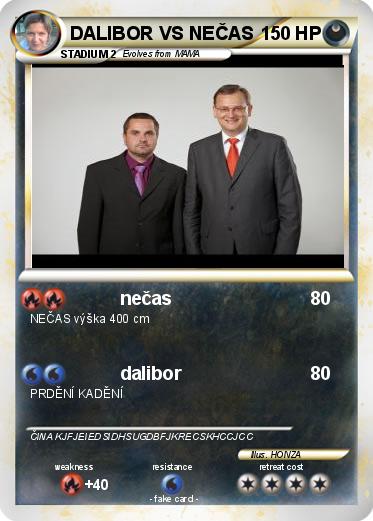 Pokemon DALIBOR VS NEČAS