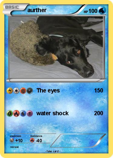 Pokemon aurther