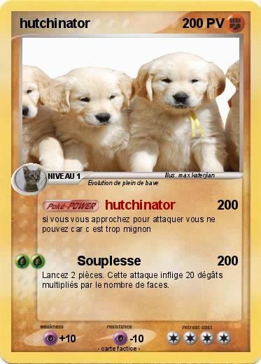Pokemon hutchinator