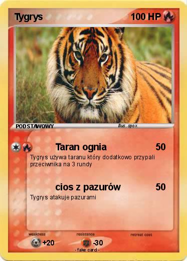 Pokemon Tygrys