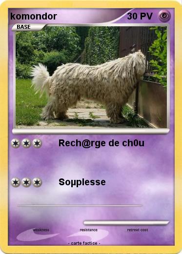 Pokemon komondor