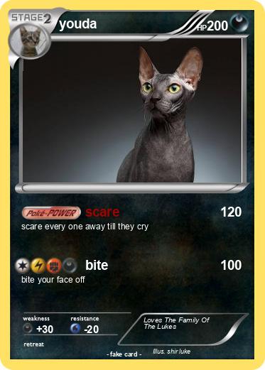 Pokemon youda