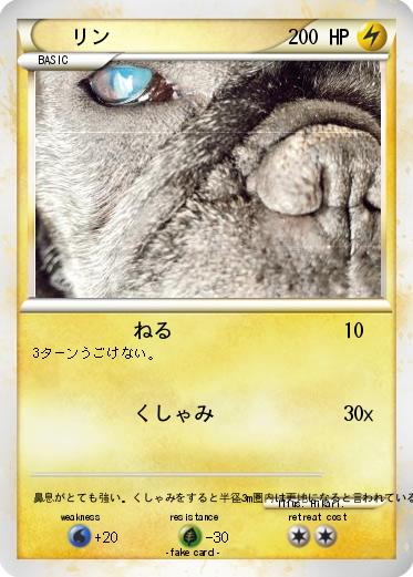 Pokemon リン
