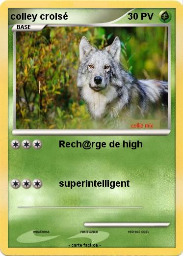 Pokemon colley croisé