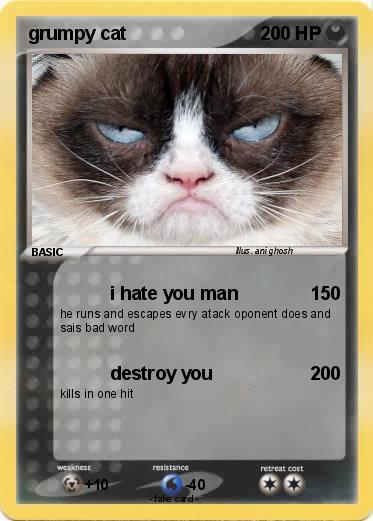 Pokemon grumpy cat