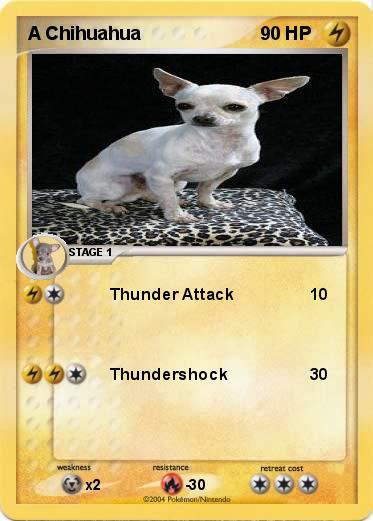 Pokemon A Chihuahua