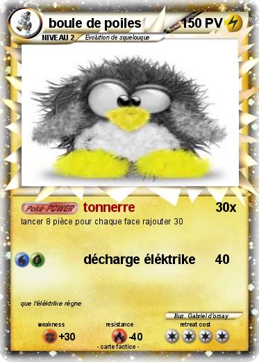 Pokemon boule de poiles