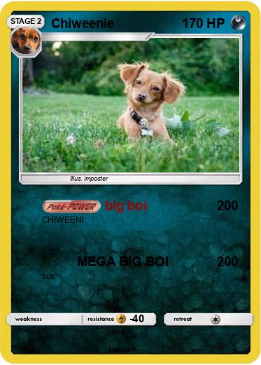 Pokemon Chiweenie
