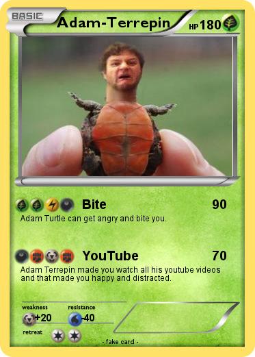 Pokemon Adam-Terrepin