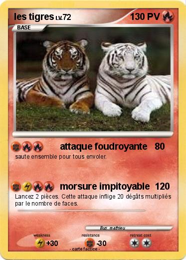 Pokemon les tigres