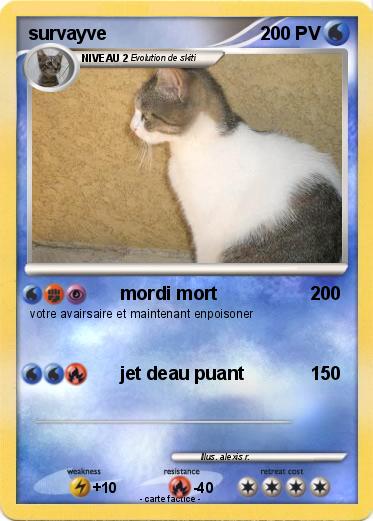 Pokemon survayve