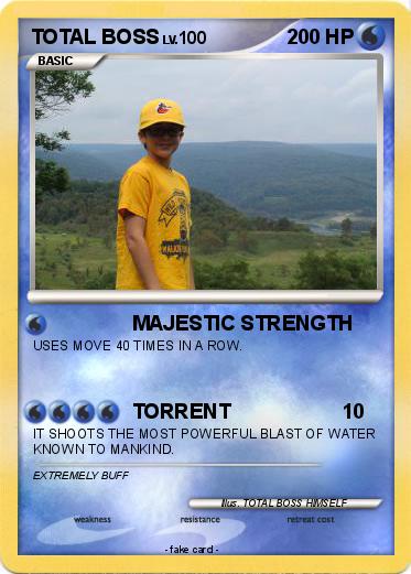 Pokemon TOTAL BOSS