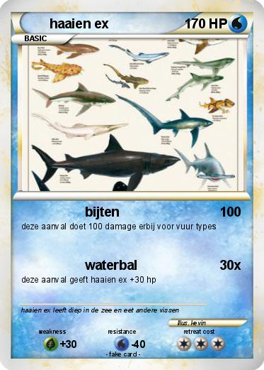 Pokemon haaien ex