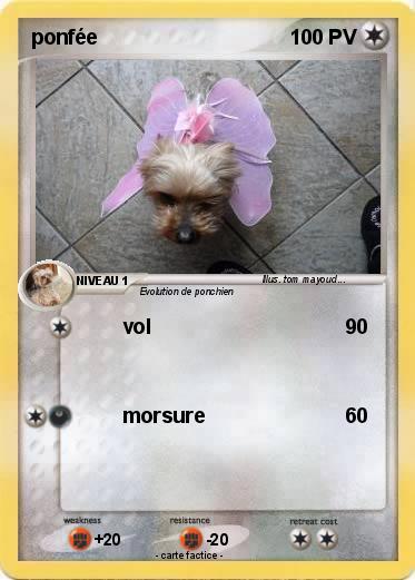 Pokemon ponfée