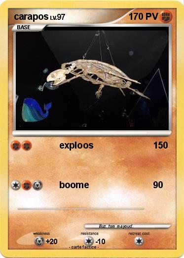 Pokemon carapos