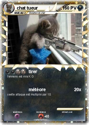 Pokemon chat tueur