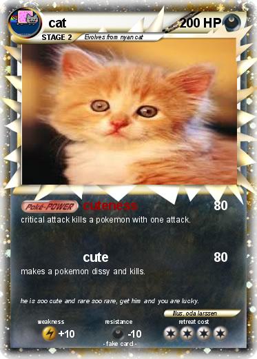 Pokemon cat