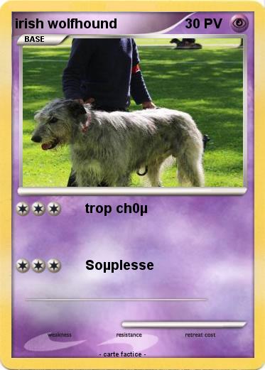 Pokemon irish wolfhound