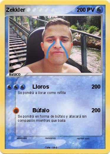 Pokemon Zekkler