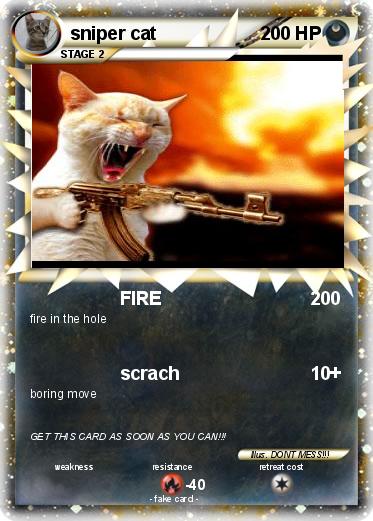 Pokemon sniper cat