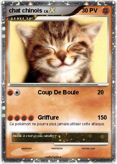 Pokemon chat chinois