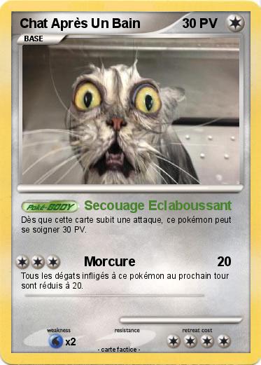 Pokemon Dégel Du Verseau
