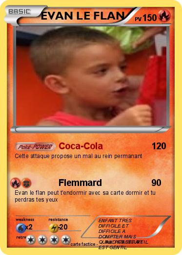 Pokemon EVAN LE FLAN