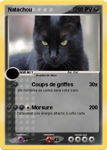 Pokemon Natachou