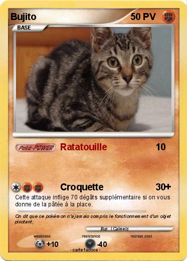 Pokemon Bujito