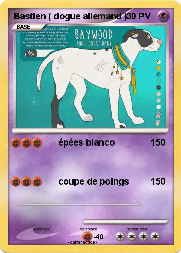 Pokemon Bastien ( dogue allemand )