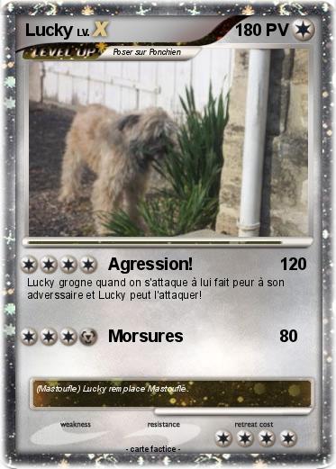 Pokemon Lucky