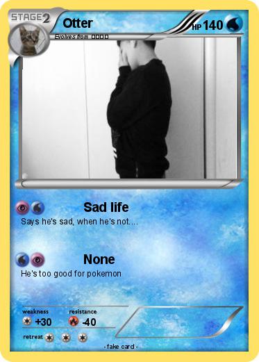 Pokemon Otter