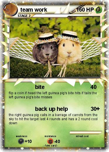 Pokemon team work
