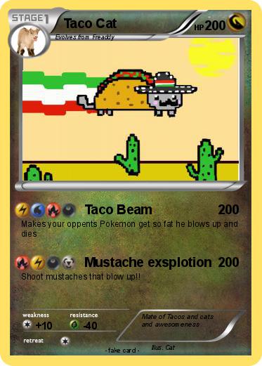 Pokemon Taco Cat