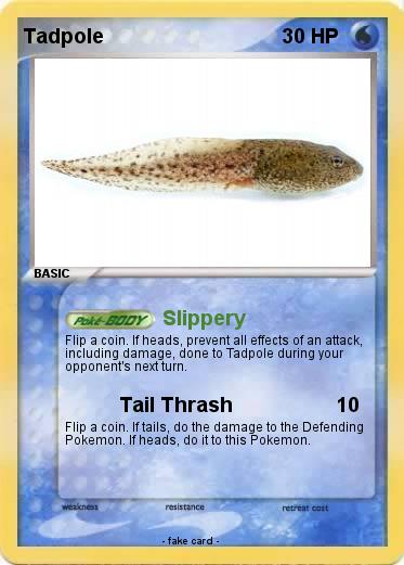 Pokemon Tadpole