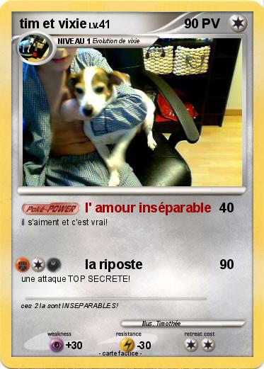 Pokemon tim et vixie