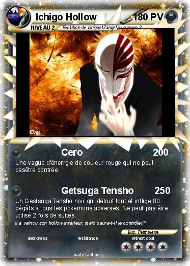 Pokemon Ichigo Hollow