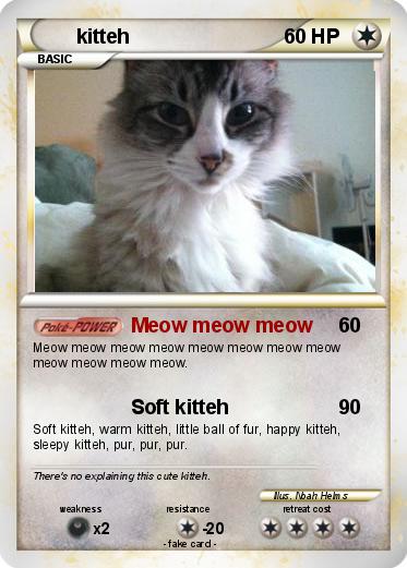 Pokemon kitteh