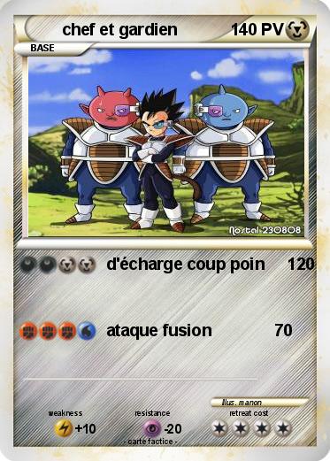 Pokemon chef et gardien