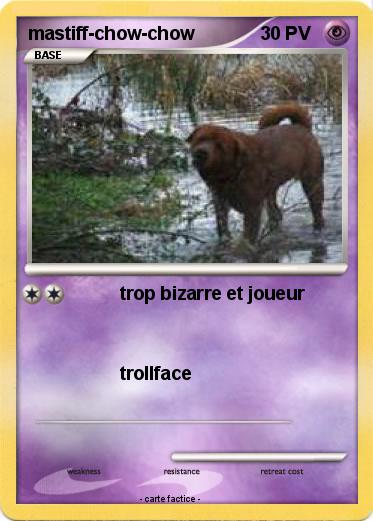 Pokemon mastiff-chow-chow