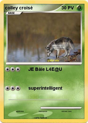 Pokemon colley croisé