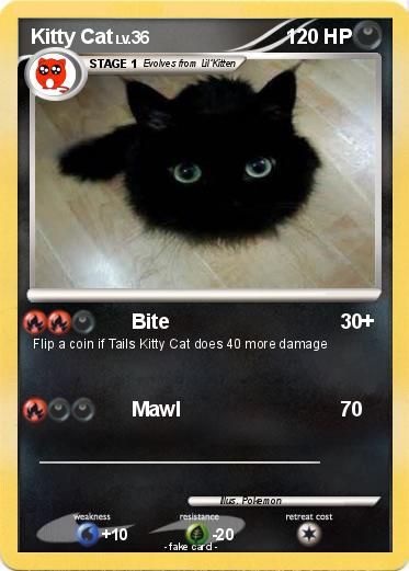 Pokemon Kitty Cat