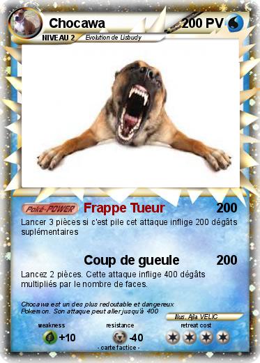 Pokemon Chocawa