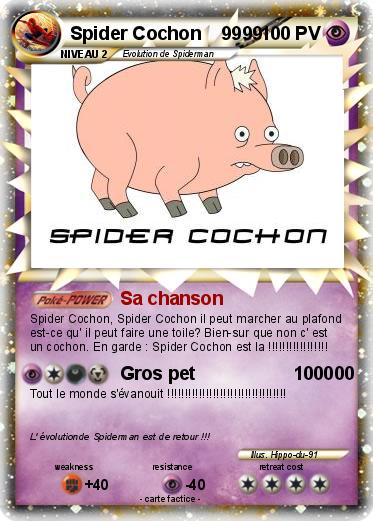Pokemon Spider Cochon    9999